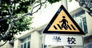 石家庄学区房最新爆料,揭秘热门区域房价走势与名校周边房源抢购热潮  第2张