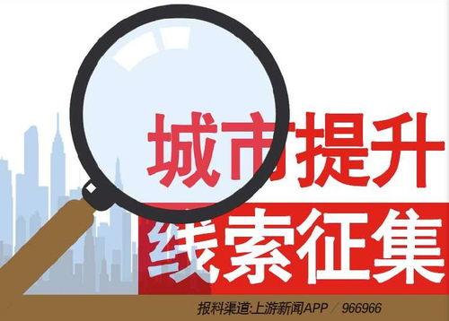 周口新闻爆料热线电话,倾听民声，守护正义  第2张