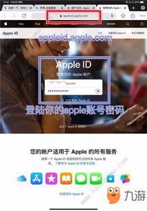 国际服最新手册爆料,揭秘游戏新内容与更新亮点 第2张 国际服最新手册爆料,揭秘游戏新内容与更新亮点 第2张